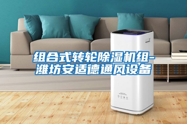 組合式轉(zhuǎn)輪除濕機組-濰坊安適德通風(fēng)設(shè)備