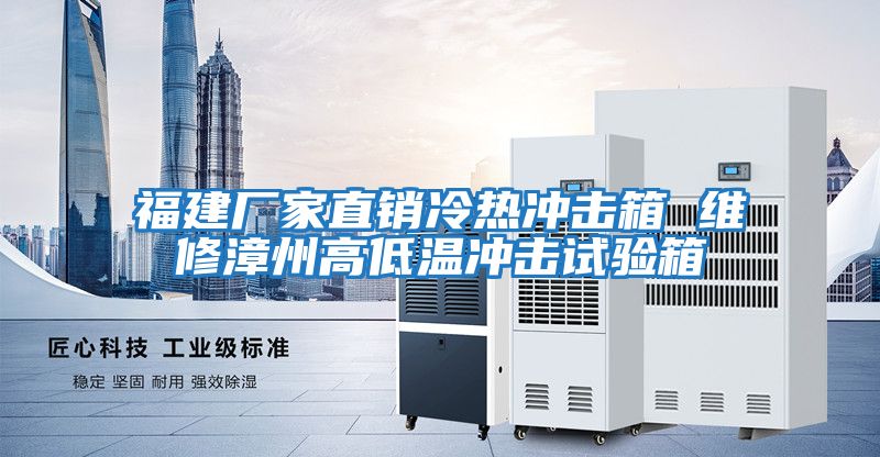 福建廠家直銷(xiāo)冷熱沖擊箱 維修漳州高低溫沖擊試驗(yàn)箱