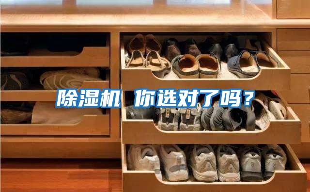 除濕機 你選對了嗎？