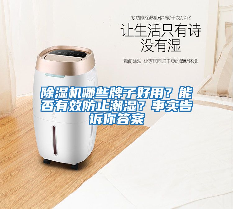 除濕機(jī)哪些牌子好用？能否有效防止潮濕？事實(shí)告訴你答案