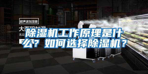 除濕機工作原理是什么？如何選擇除濕機？