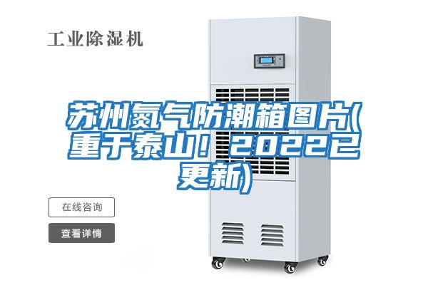 蘇州氮氣防潮箱圖片(重于泰山！2022已更新)