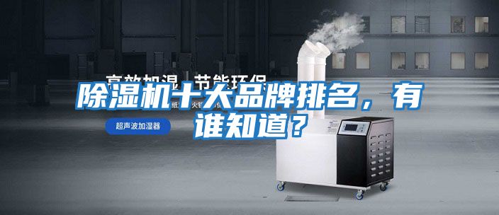 除濕機十大品牌排名，有誰知道？