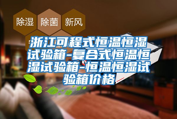 浙江可程式恒溫恒濕試驗箱-復(fù)合式恒溫恒濕試驗箱-恒溫恒濕試驗箱價格