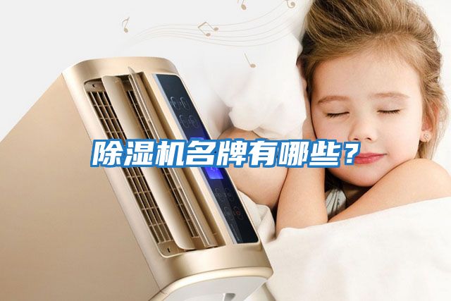 除濕機(jī)名牌有哪些？