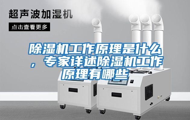 除濕機工作原理是什么，專家詳述除濕機工作原理有哪些
