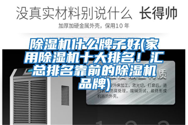除濕機什么牌子好(家用除濕機十大排名！匯總排名靠前的除濕機品牌)