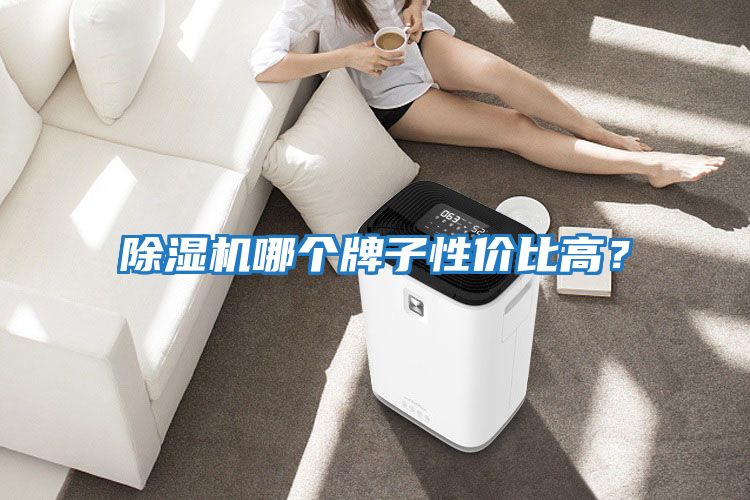 除濕機(jī)哪個(gè)牌子性?xún)r(jià)比高？