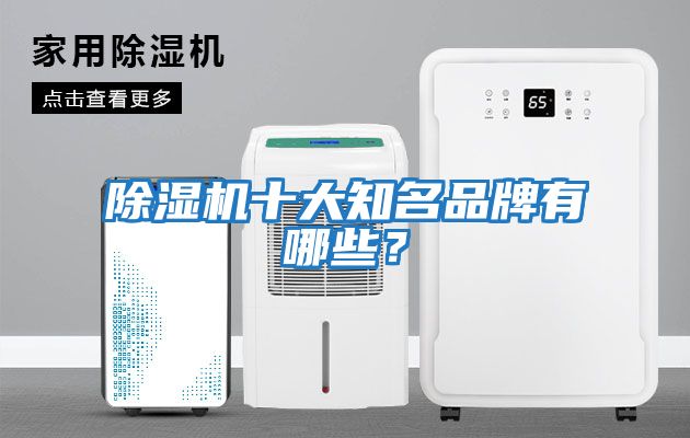 除濕機(jī)十大知名品牌有哪些？