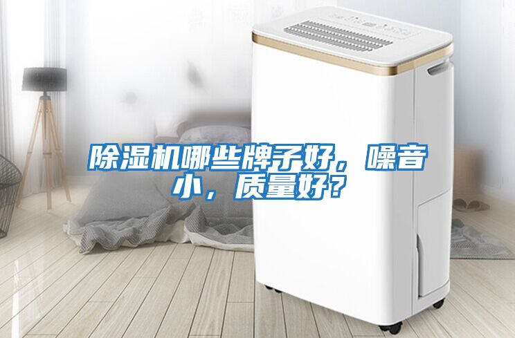 除濕機(jī)哪些牌子好，噪音小，質(zhì)量好？