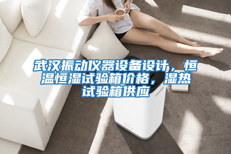 武漢振動儀器設備設計，恒溫恒濕試驗箱價格，濕熱試驗箱供應