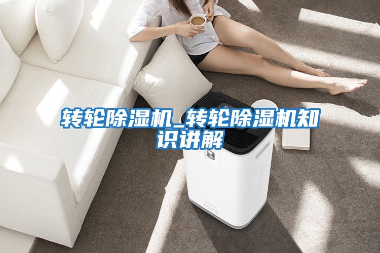 轉(zhuǎn)輪除濕機(jī)_轉(zhuǎn)輪除濕機(jī)知識講解