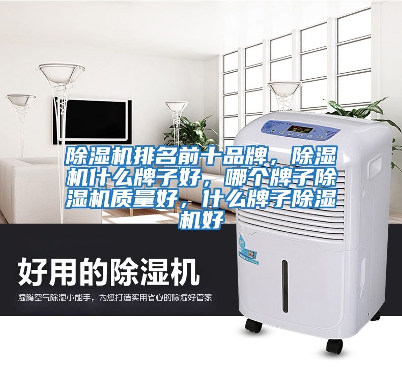 除濕機排名前十品牌，除濕機什么牌子好，哪個牌子除濕機質(zhì)量好，什么牌子除濕機好