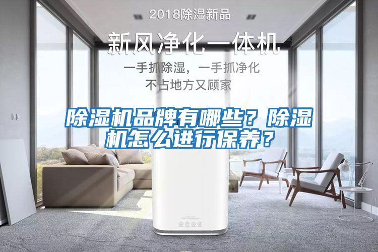 除濕機品牌有哪些？除濕機怎么進行保養(yǎng)？