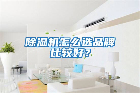 除濕機怎么選品牌比較好？