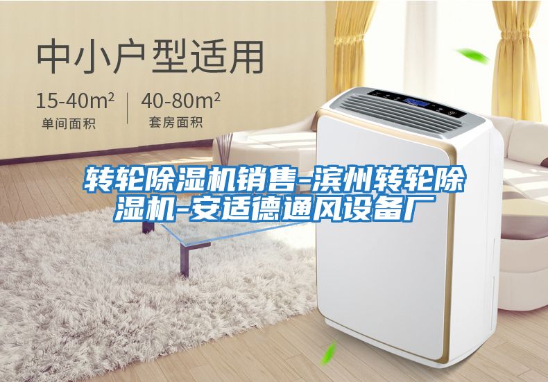 轉(zhuǎn)輪除濕機銷售-濱州轉(zhuǎn)輪除濕機-安適德通風(fēng)設(shè)備廠
