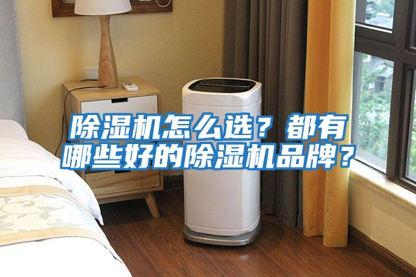 除濕機怎么選？都有哪些好的除濕機品牌？