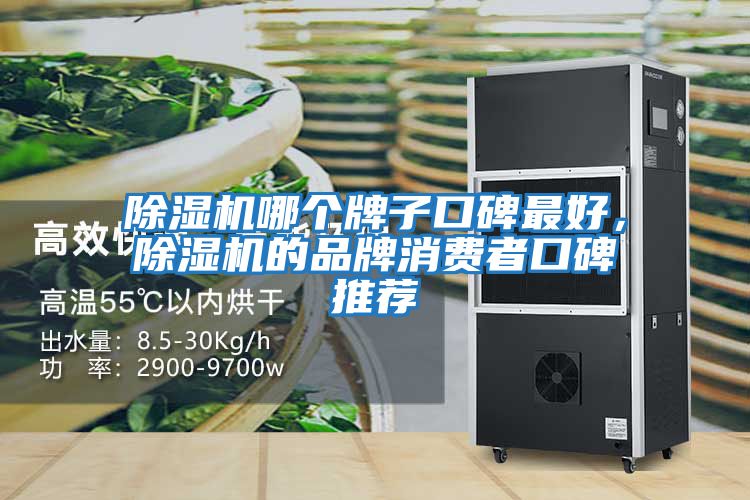 除濕機哪個牌子口碑最好，除濕機的品牌消費者口碑推薦