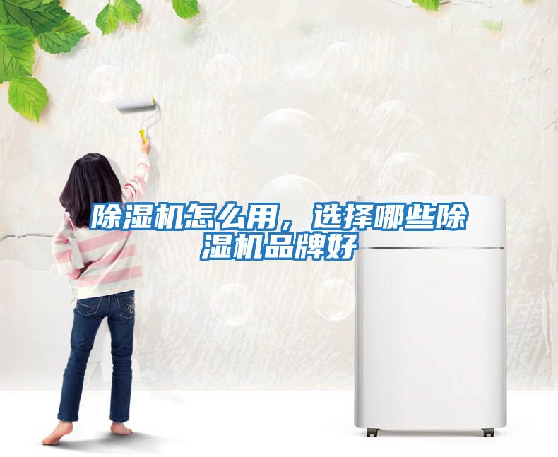 除濕機怎么用，選擇哪些除濕機品牌好