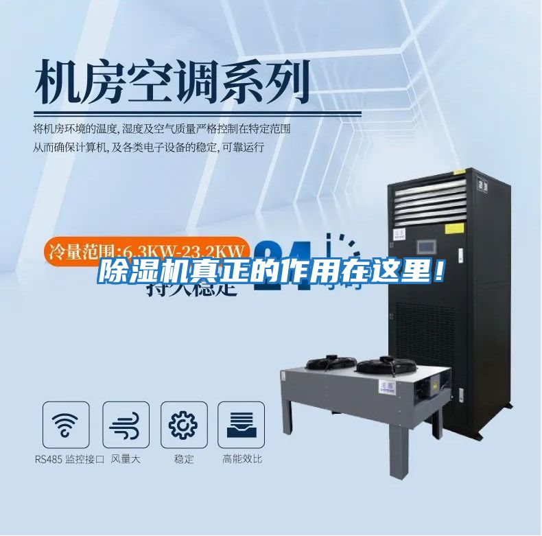 除濕機真正的作用在這里！