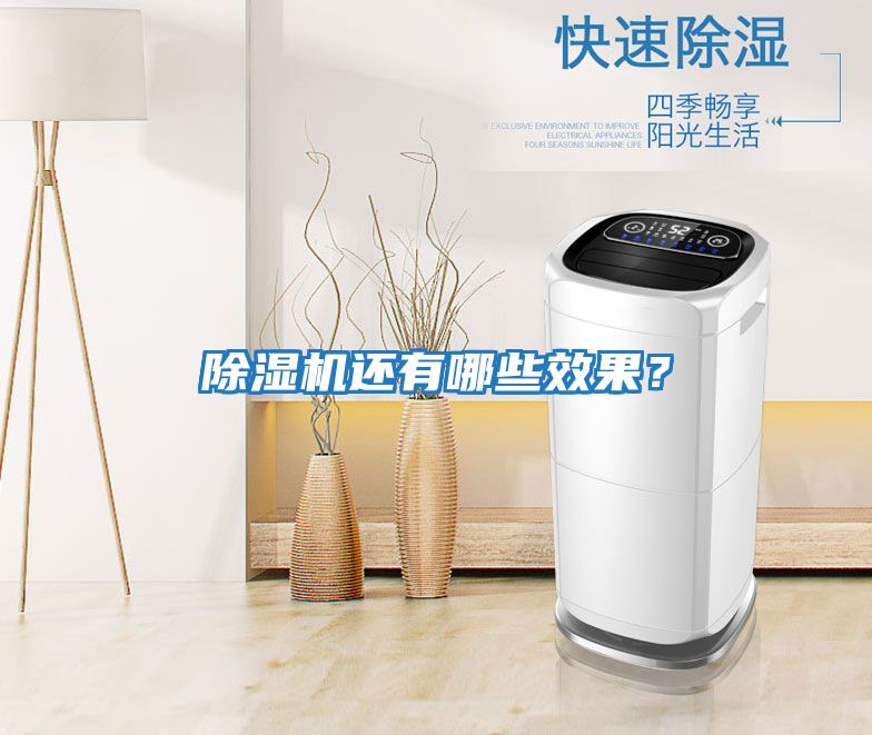 除濕機還有哪些效果？