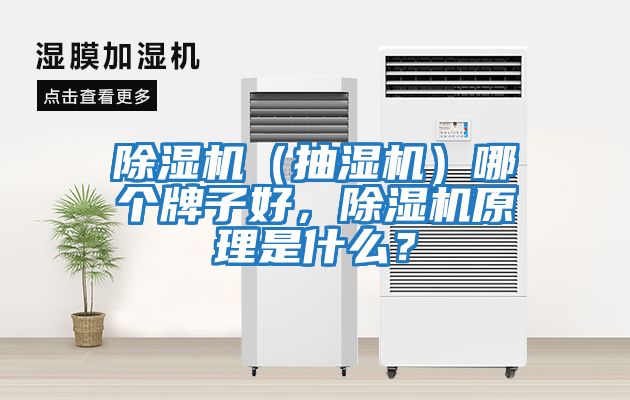 除濕機（抽濕機）哪個牌子好，除濕機原理是什么？
