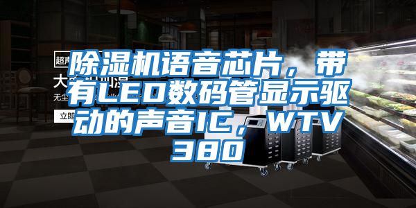 除濕機(jī)語(yǔ)音芯片，帶有LED數(shù)碼管顯示驅(qū)動(dòng)的聲音IC，WTV380