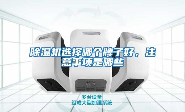 除濕機選擇哪個牌子好，注意事項是哪些