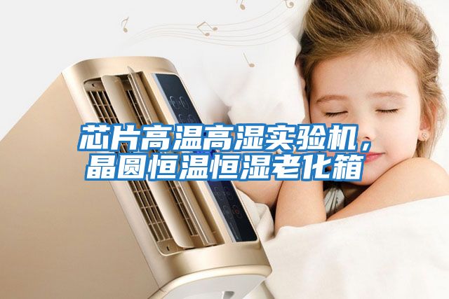 芯片高溫高濕實驗機，晶圓恒溫恒濕老化箱