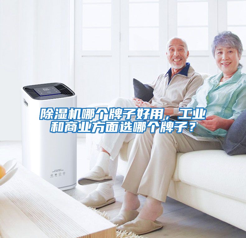 除濕機哪個牌子好用，工業和商業方面選哪個牌子？