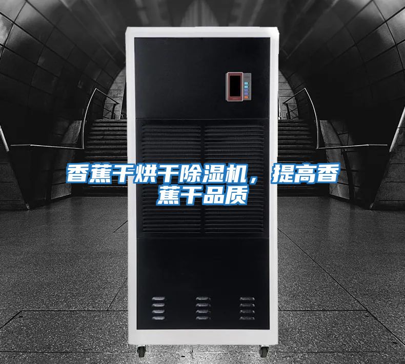 香蕉干烘干除濕機，提高香蕉干品質