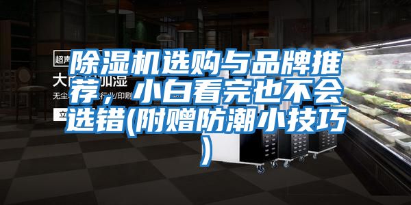 除濕機(jī)選購與品牌推薦，小白看完也不會選錯(附贈防潮小技巧)