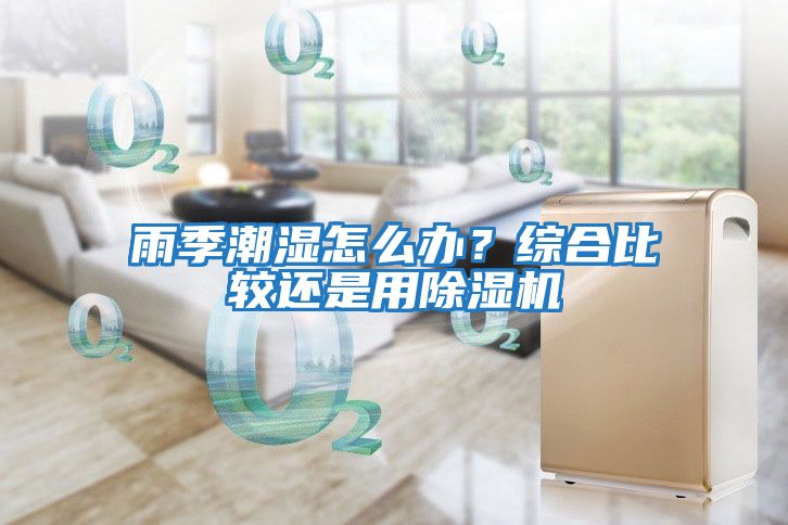 雨季潮濕怎么辦？綜合比較還是用除濕機