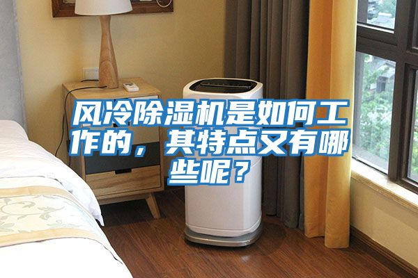 風(fēng)冷除濕機(jī)是如何工作的，其特點(diǎn)又有哪些呢？