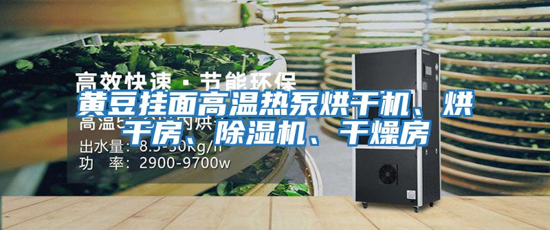 黃豆掛面高溫?zé)岜煤娓蓹C、烘干房、除濕機、干燥房
