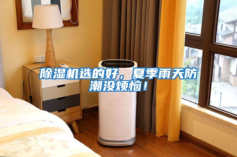 除濕機選的好，夏季雨天防潮沒煩惱！