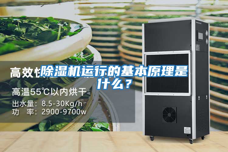 除濕機運行的基本原理是什么？