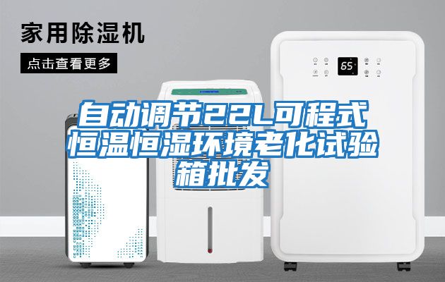 自動調節(jié)22L可程式恒溫恒濕環(huán)境老化試驗箱批發(fā)