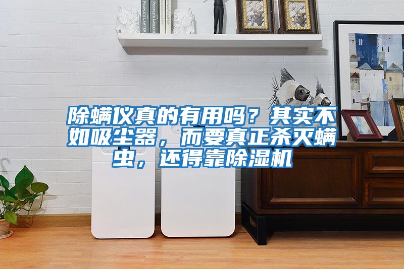 除螨儀真的有用嗎？其實不如吸塵器，而要真正殺滅螨蟲，還得靠除濕機