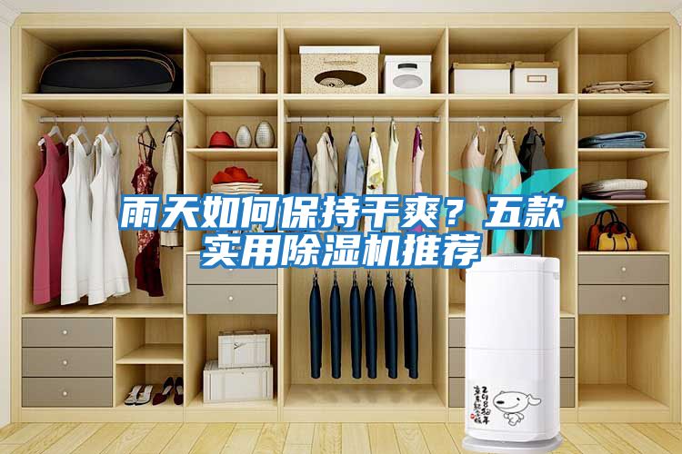 雨天如何保持干爽？五款實用除濕機推薦