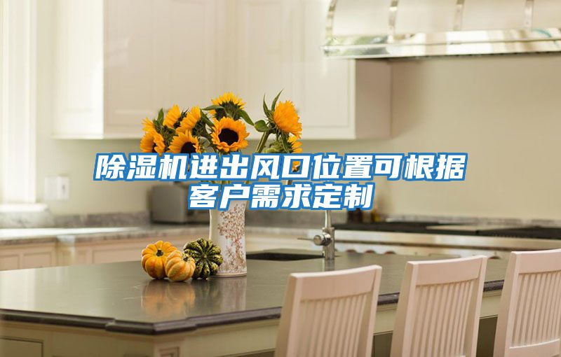 除濕機進出風口位置可根據(jù)客戶需求定制