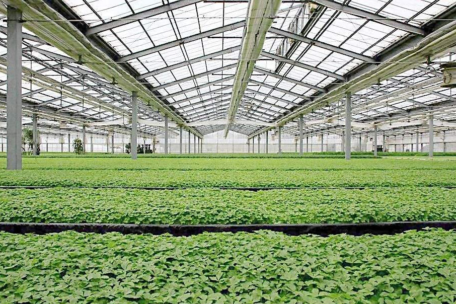 除濕器如何解決高濕度、多種危害的溫室除濕問題？